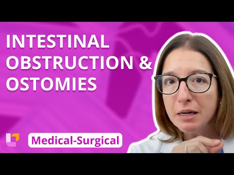 Gastrointestinal System: Intestinal Obstruction & Ostomies - Medical-Surgical (GI) | @LevelUpRN