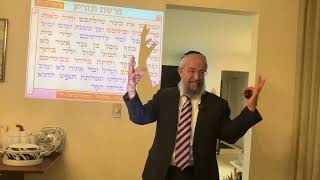 פרשת תזריע - “ברית המילה” - סוד הסרת "קליפת כנען" , וכיבוש ארץ ישראל - הרב ינון קלזאן