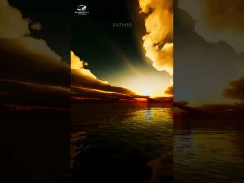 Witness21  2023 09 26