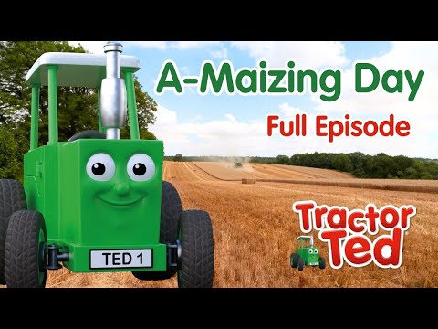A-Maizing Day 🌾 Tractor Ted Full Episode | Big Machines & Tractors For Kids