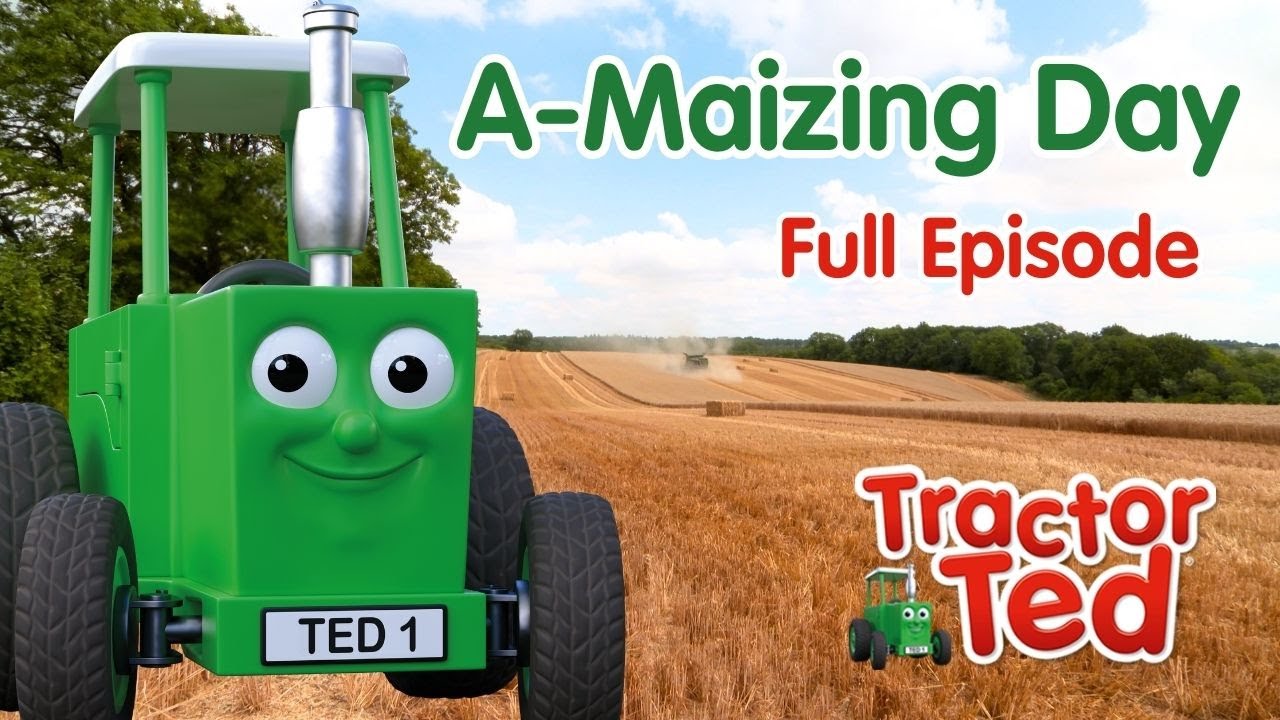 A-Maizing Day 🌾 Tractor Ted Full Episode | Big Machines & Tractors For Kids