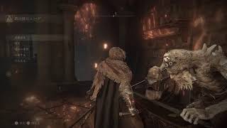 ELDEN RINGの物語＃１６　技量特化で８０超えた！