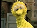 Classic Sesame Street - Big Bird The Grouch