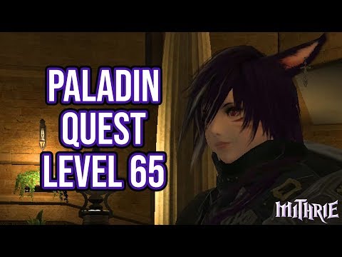 FFXIV 4.0 1130 Paladin Quest Level 65