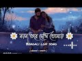 Nayon Vore Dekhi Tomay || নয়ন ভরে দেখি তোমায় Bangla lofi song (solowed+rebarv) #bang