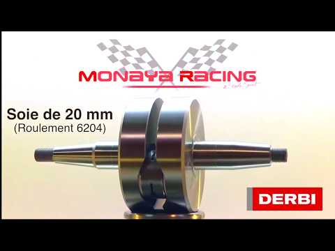 CRANKSHAFT MONAYA 50/100, Derbi euro 3
