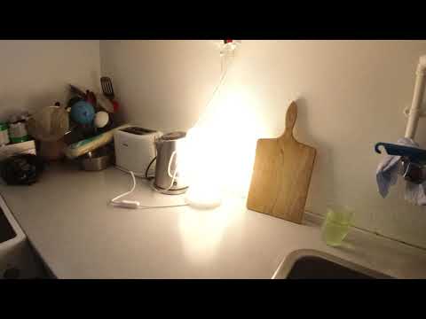 MongoTV_6721 -JEG VIL CYKLE EN TUR TIL LIDL OG KØBE EN PAKKE BILLIG HAKKET OKSEKØD TIL KUN 15 KRONER