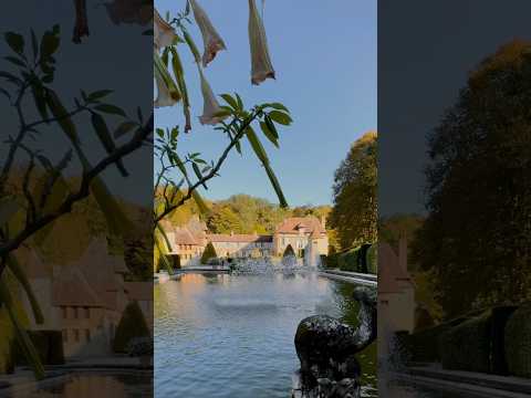 フランスの庭のアイデアを作成する方法 多年生一年生植物 ツゲの木 巨大な花 バラの茂み 低木