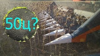Итоги уборки. Подсолнечник 2018