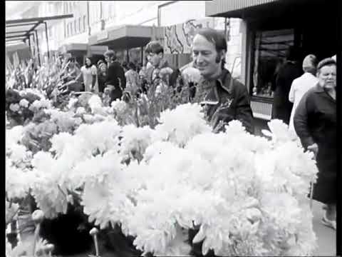Olympic   Už je jí líp 1973
