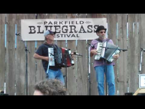 Accordians at Parkfield Bluegrass Festival 2016