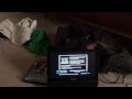 Final Test On The Thx Optimizer Video Test 8 Old Yeller