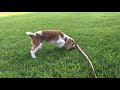 She S Enjoying The Weather