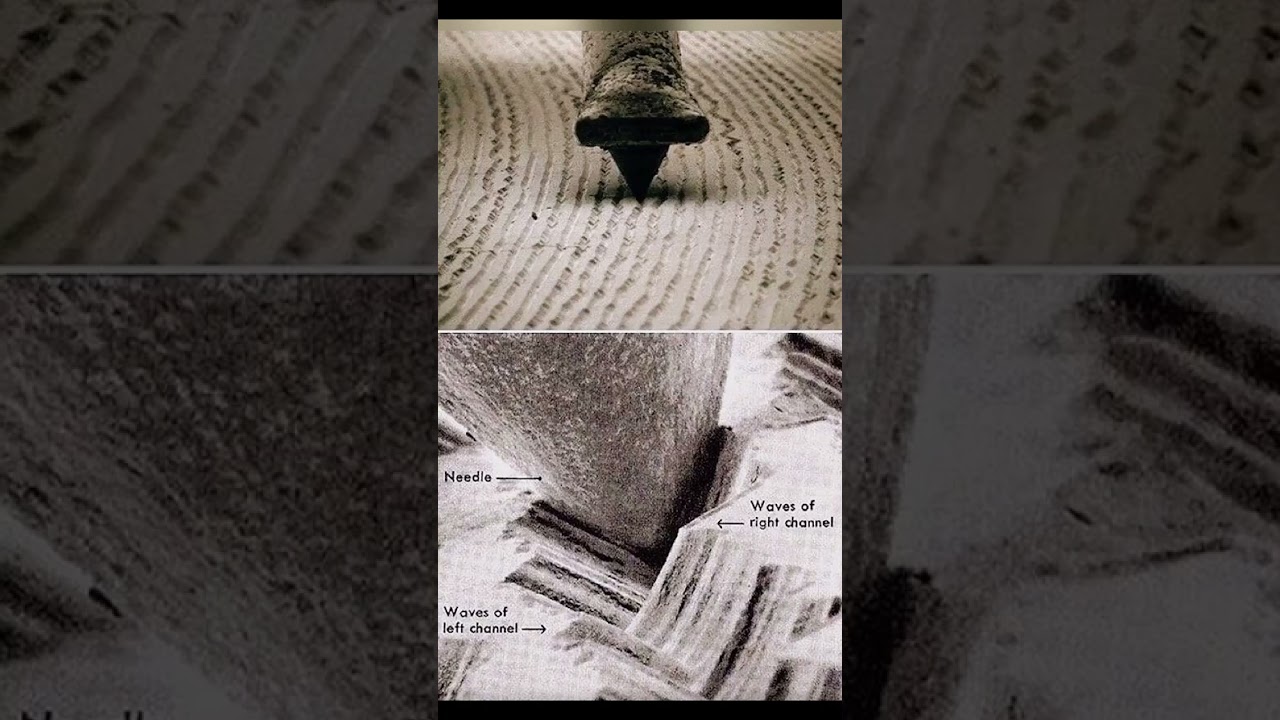 The grooves on a vinyl record are where the music is stored.