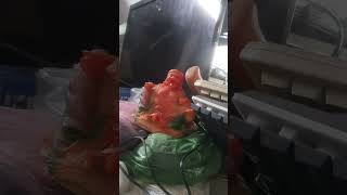 Người sống đi đến nghĩa trang gặp Ma và nói chuyện với Ma 0528560233