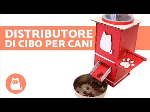 Come definire vermi in un cervello Posti come segno di parassiti