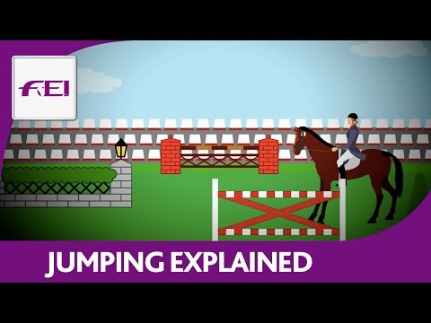 Introduction to Jumping