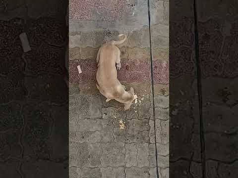 yehka bhi Zara dheyaan rkhleya karo