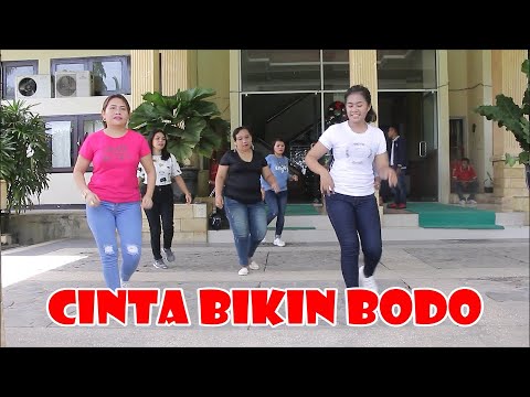 CINTA BIKIN BODO - ONA HETHARUA || PNK LINE DANCE ||