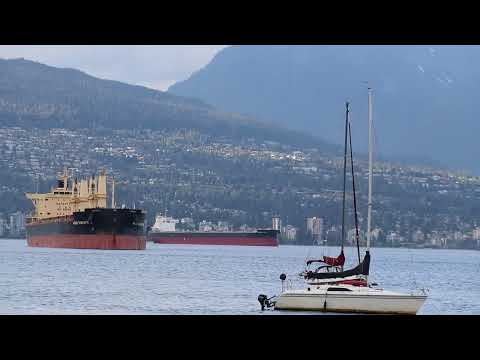 🌊 Jericho Beach – Vancouver’s Hidden Coastal Gem 🏖️