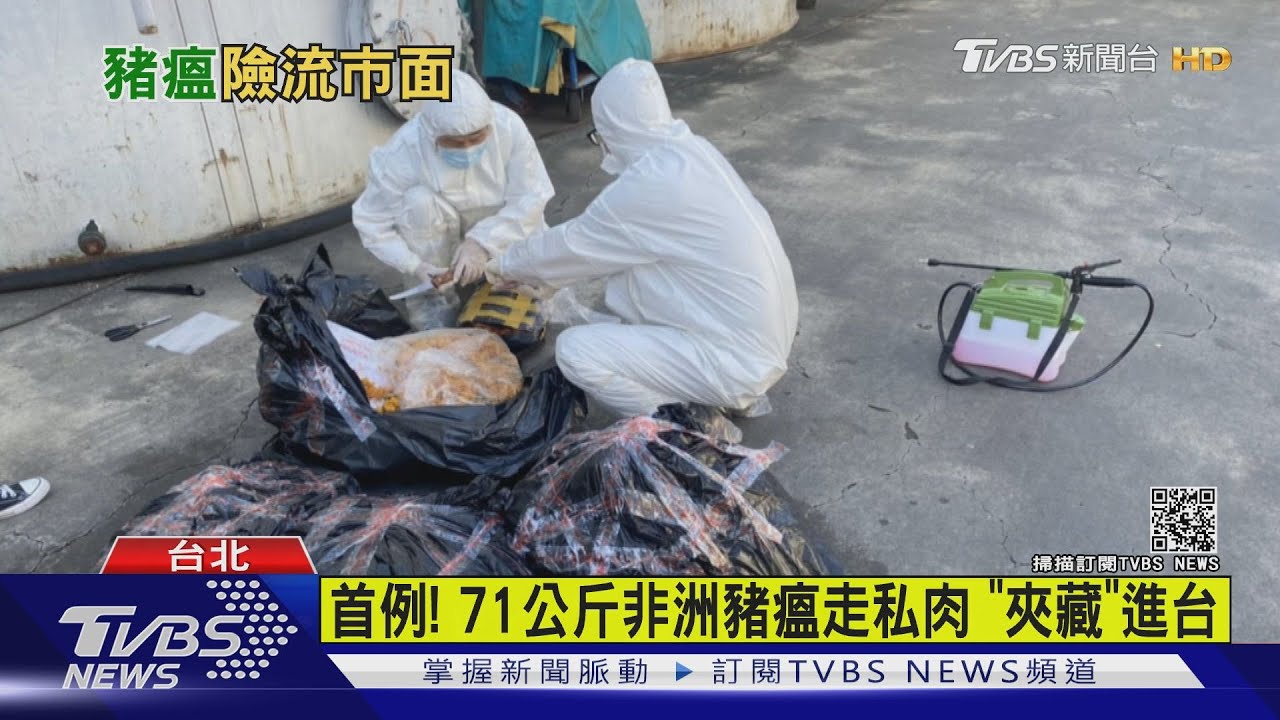 首例! 71公斤非洲豬瘟走私肉「夾藏」進台