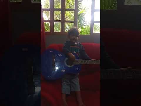Boi Da Cara Branca - Paulinho Natureza