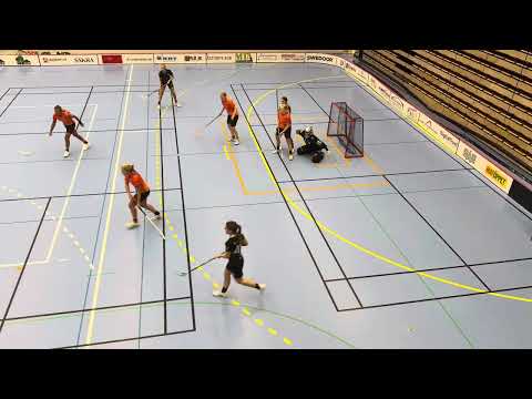 Highlights Träningsmatch Åstorp/Kvidinge IBS D2 - FBC Engelholm D1  1-6