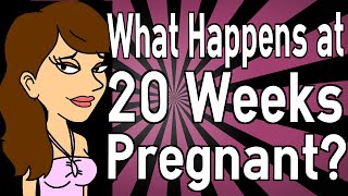 What Happens at 20 Weeks Pregnant?