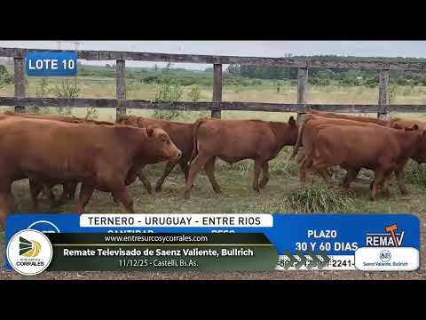 11-12-25 - Remate Televisado de Saenz Valiente, Bullrich - Castelli, Bs.As.