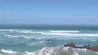 preview picture of video 'Hermanus Land Based Whale watching South Africa'