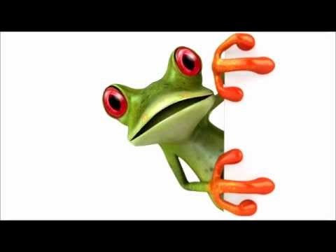 Truelove & Friends Desert Rana - Frog