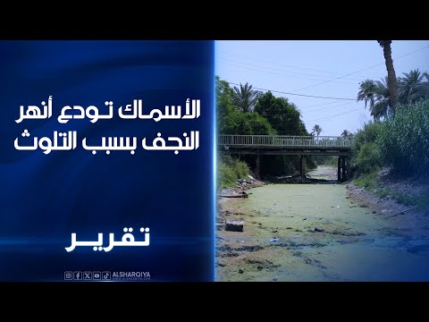 شاهد بالفيديو.. بين الجفاف والتلوث الآلاف من صيادي الأسماك يخسرون عملهم