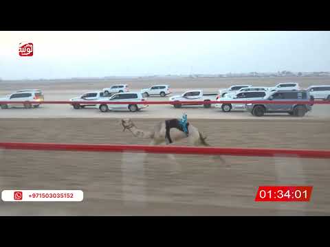  ش 3 (الطياره) لـ محمد حمد بن مبارك عثعيث العامري 3:00:29 ، شارة الصندوق 2026/08/21 فطامين الوثبة