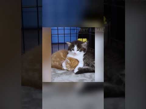 surprise and confusion