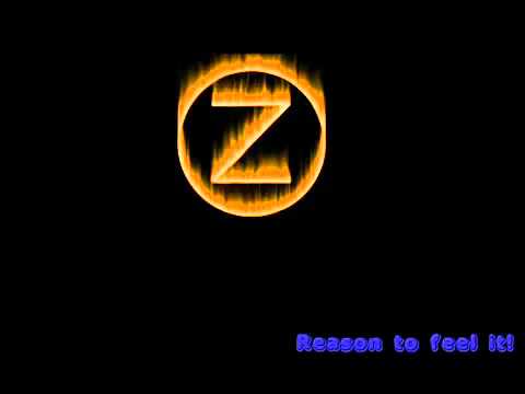 ZEROANA -Reason To Feel It