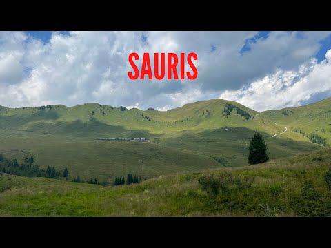 Sono la vergogna dei Friulani!