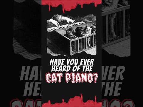 A Piano Made With Living CATS?! 🐱😱 #creepy #scary #facts #viral #shorts #music #cats