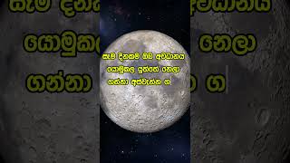 Download lagu නිවන් දකින්න කාලය පැමිණ ඇත. #love #nature #flowers mp3 Download lagu නිවන් දකින්න කාලය පැමිණ ඇත. #love #nature #flowers mp3