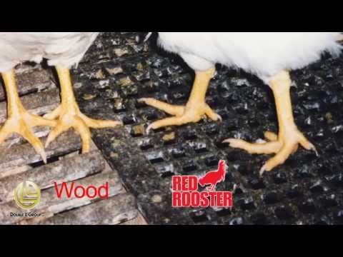 2' x 4' Poultry Plastic Flooring that Optimizes Bird Performance
