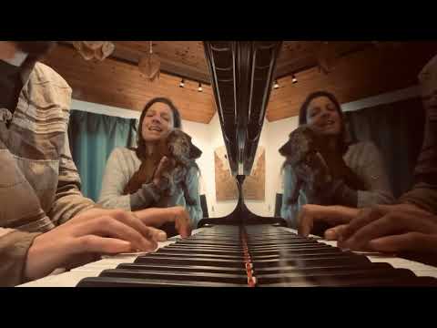 The Meander - Spirit Bird