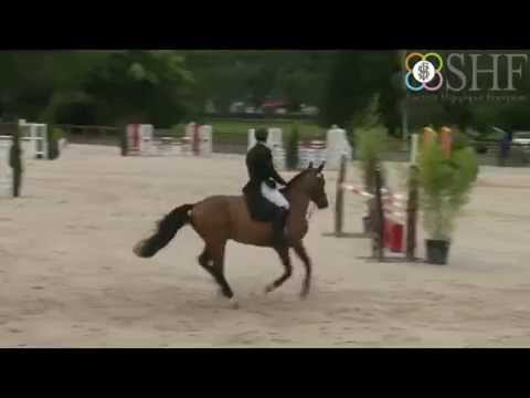 N°45 AMANT DU CHATEAU