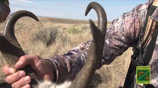 How to Hunt Pronghorn: Hunting Pronghorn