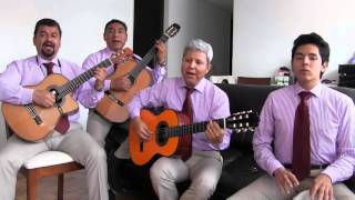 TRÍO LOS SEMEJANTES, LLUEVE SOBRE MOJADO.