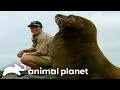 Steve Terri Irwin Explore The Wildlife In Galapagos Crocodile Hunter Animal Planet