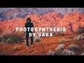 photosynthesis | saba
