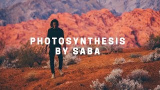 photosynthesis | saba