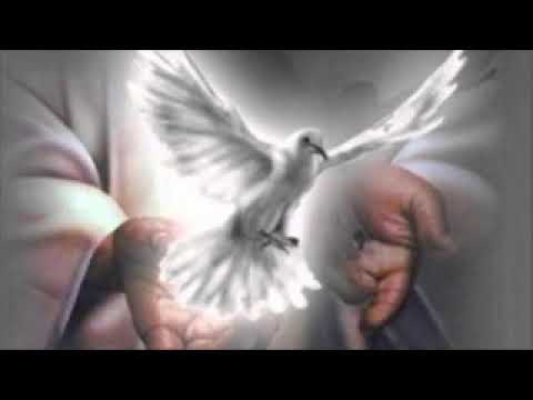 Rajko Bundalo - Darovi Duha Svetoga