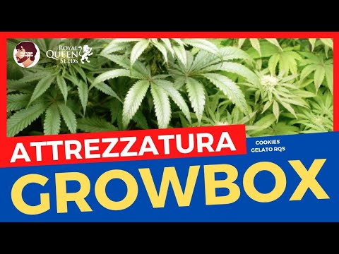 , title : 'ATTREZZATURA IN GROW BOX'