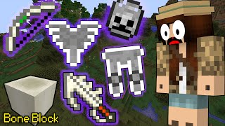 If Bone Tools Existed - Minecraft If Bone Tools Existed - Minecraft