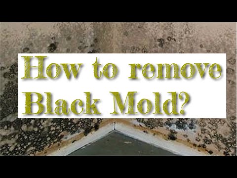 How to remove Black Mold.